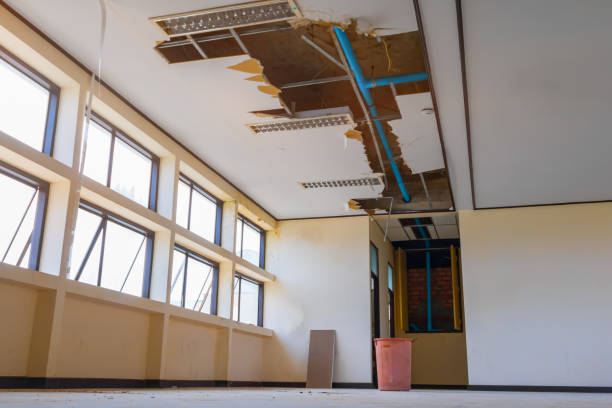 Best Water damage restoration process  in Milton, GA