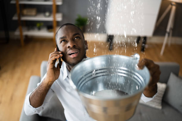 Best Flooded house restoration  in Milton, GA