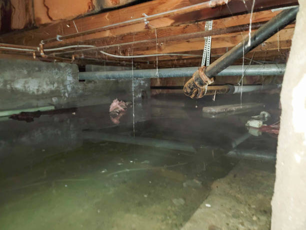 Best Flood restoration services  in Milton, GA