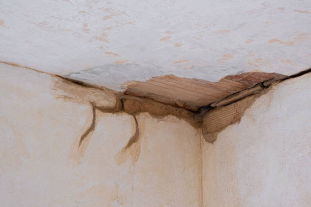 Best Mold removal after water damage  in Milton, GA