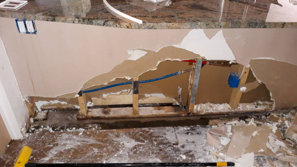 Best Basement water damage restoration  in Milton, GA
