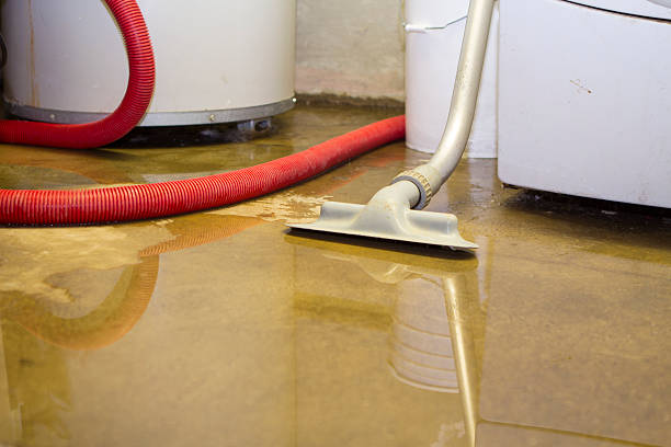 Best Flood damage cleanup  in Milton, GA