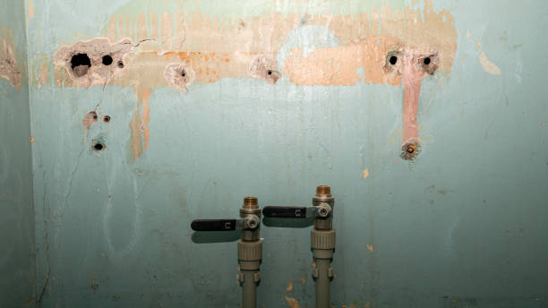 Best 24/7 water damage repair  in Milton, GA