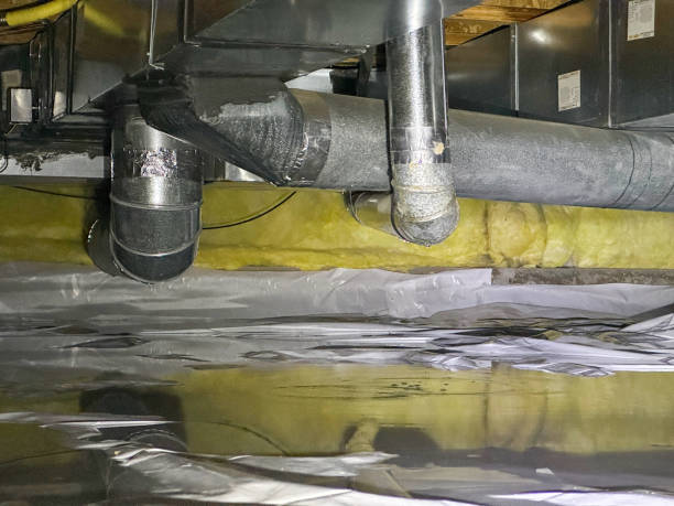 Best Mold removal after water damage  in Milton, GA