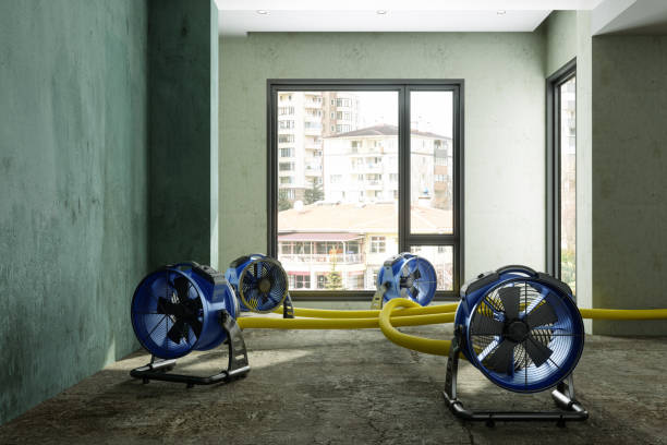 Best Sewage cleanup and water damage restoration  in Milton, GA